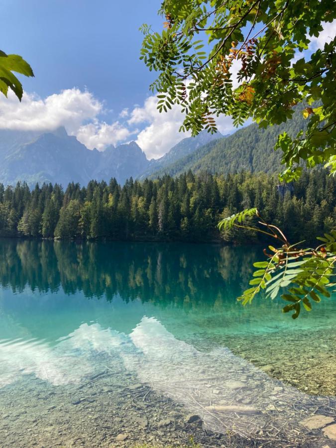 Apartments Belopeski Dvori Kranjska Gora Dış mekan fotoğraf