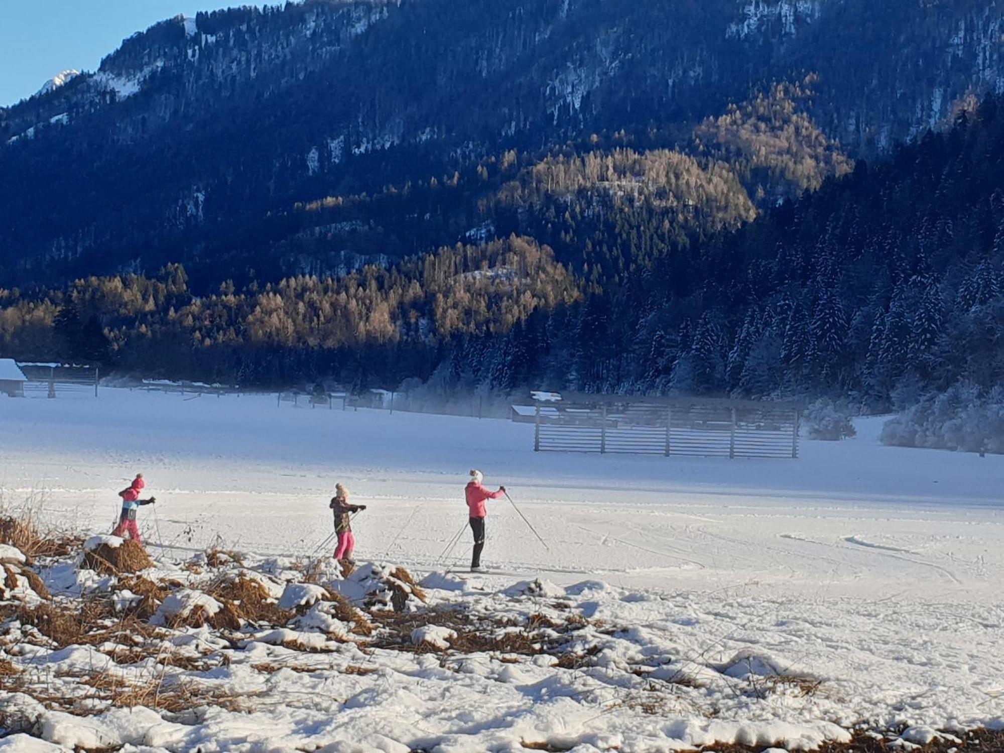 Apartments Belopeski Dvori Kranjska Gora Dış mekan fotoğraf